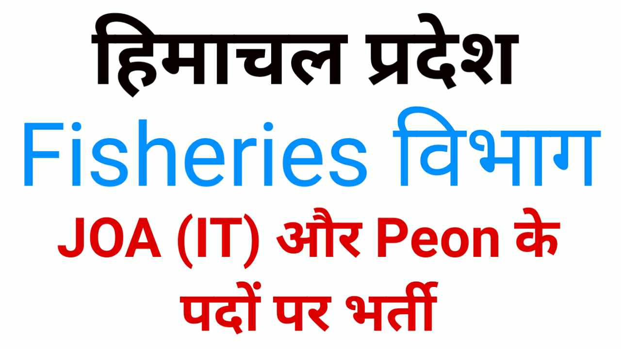 HP JOA IT & Peon Recruitment 2024